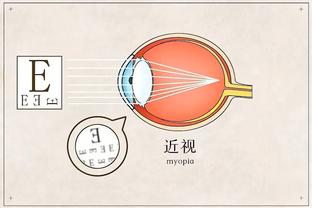 半岛平台官方网站入口下载安装截图4